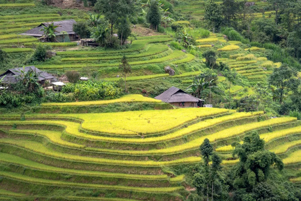 Kho gạo của Nguyễn Trường Giang